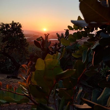 Ronnavona Casa Vacanze B&B Chiaramonte Gulfi Exteriör bild
